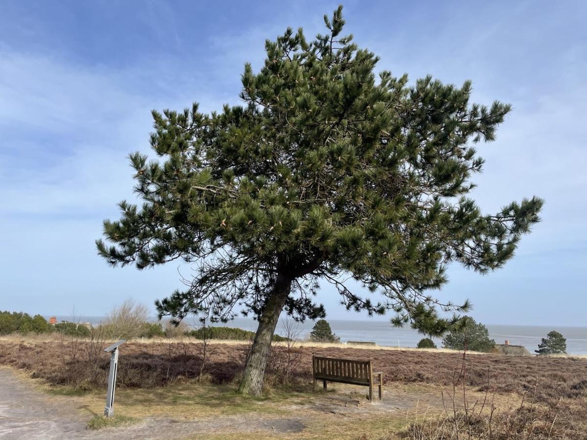 Apartmán Sylter Residenz Westerland Exteriér fotografie